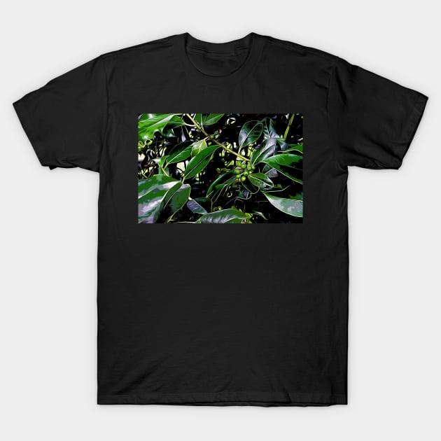 Holly Leaves T-Shirt by Colin-Bentham